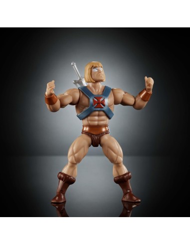 He-Man Masters of the Universe Origins