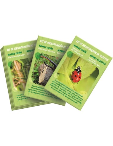 La Casa de los Insectos -ciencia y juego