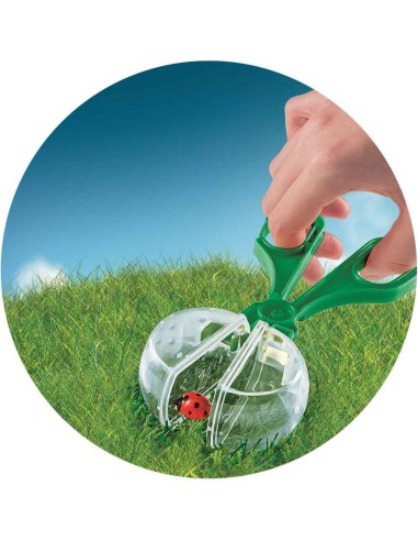 La Casa de los Insectos -ciencia y juego