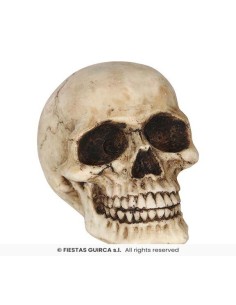CALAVERA RESINA 8 CMS