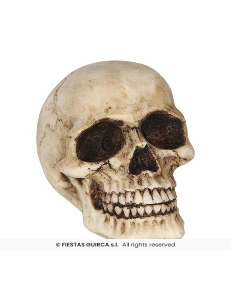 CALAVERA RESINA 8 CMS
