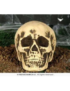 CALAVERA FOAM 22 CMS. 