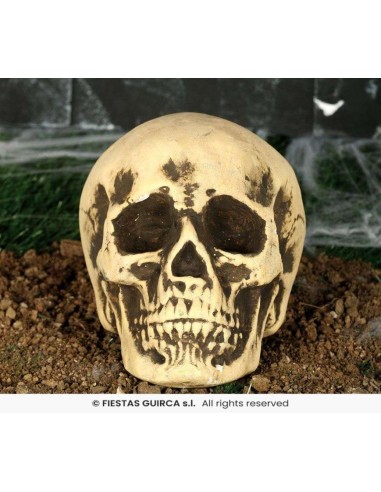 CALAVERA FOAM 22 CMS. 