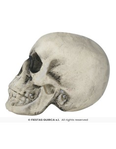CALAVERA FOAM 22 CMS.  2