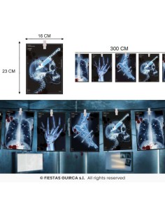 Guirnalda radiografias 300 cm