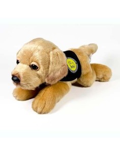 Peluche Perro Labrador Canela Con Chalec
