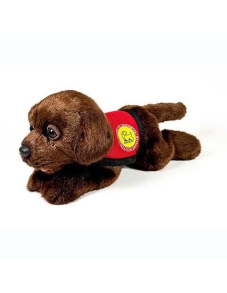 Peluche Perro Labrador Chocolate Con Cha