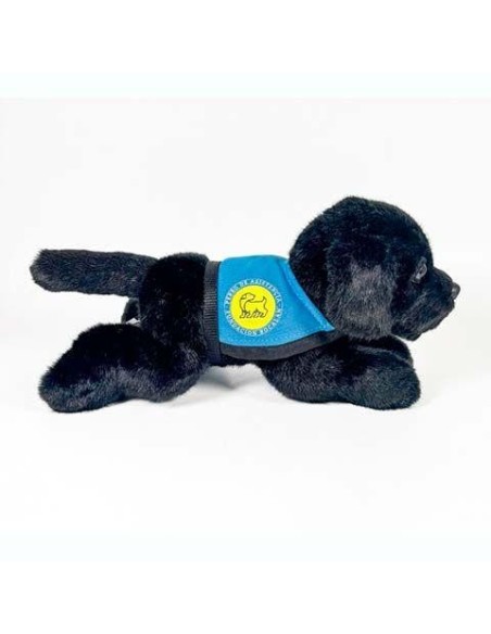 Peluche Perro Labrador Negro Con Chaleco
