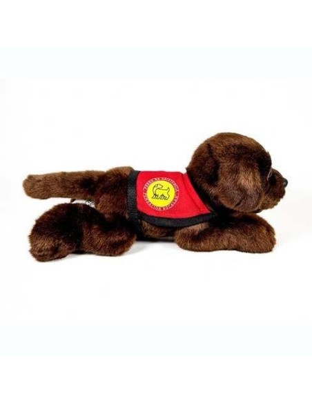 Peluche Perro Labrador Chocolate Con Cha
