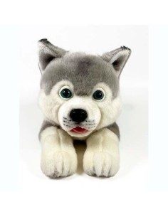Peluche Husky Tumbado 25cm. 2