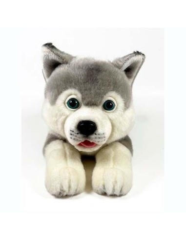 Peluche Husky Tumbado 25cm.