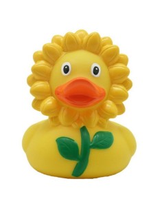 Pato Girasol