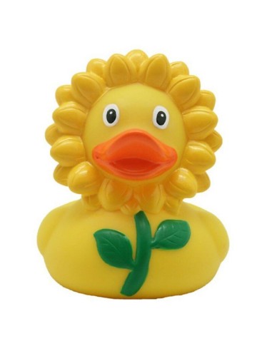 Pato Girasol