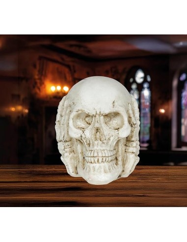 CALAVERA RESINA 6 CMS