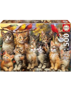 500 Gatitos Y Pájaros