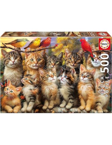 500 Gatitos Y Pájaros