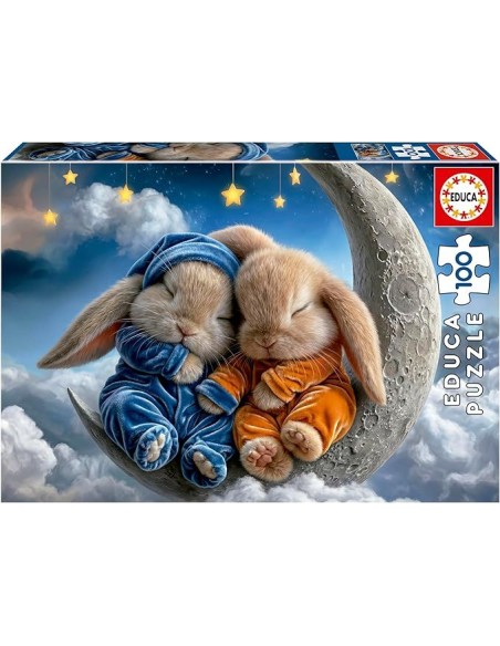 100 Sueños De  Conejitos