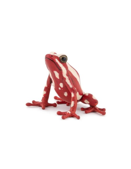 FIGURA RANA FLECHA TRICOLOR  PAPO -50315