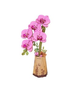 Robotime Maqueta Flor Orquídea Morada Ma