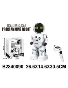 Rc Robot Programable