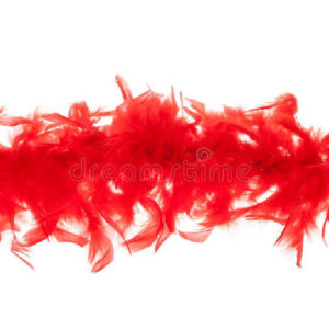 BOA ROJA 150CM 35GR
