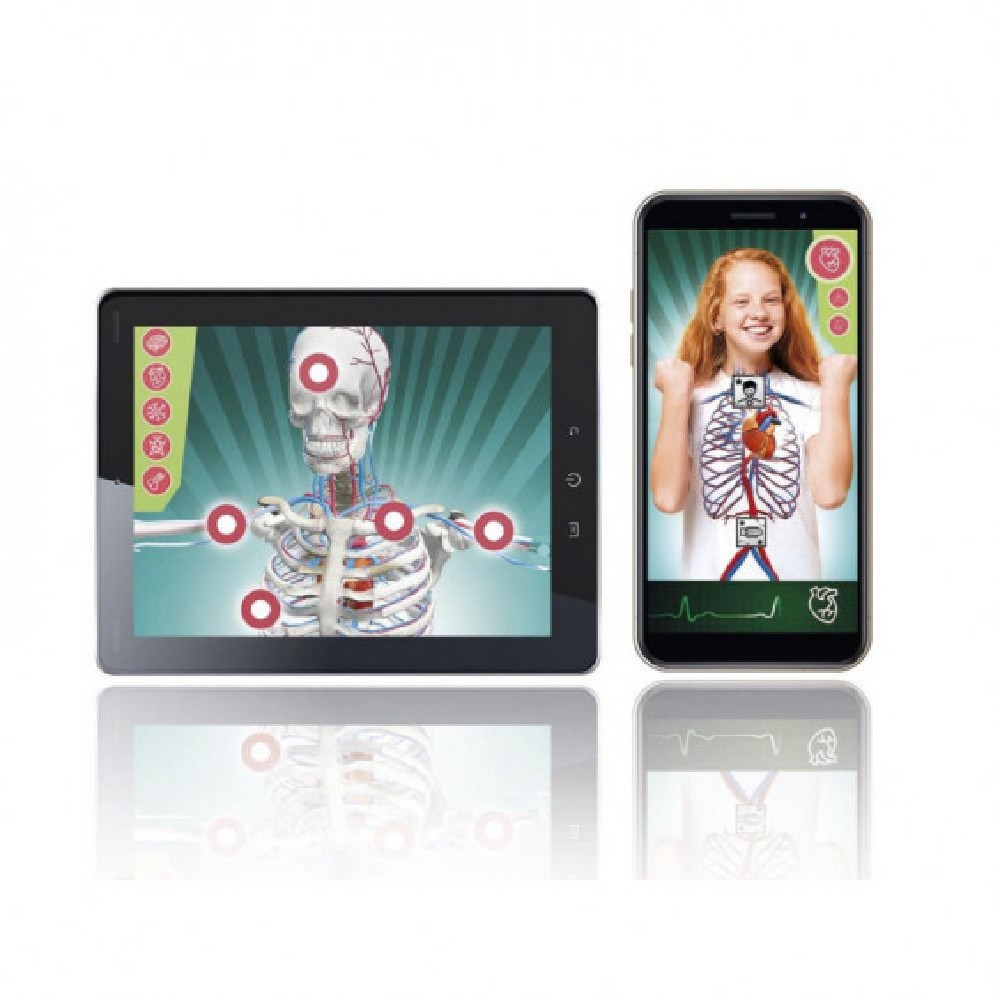 CIENCIA Y JUEGO SUPERANATOMIA - Imagen 4