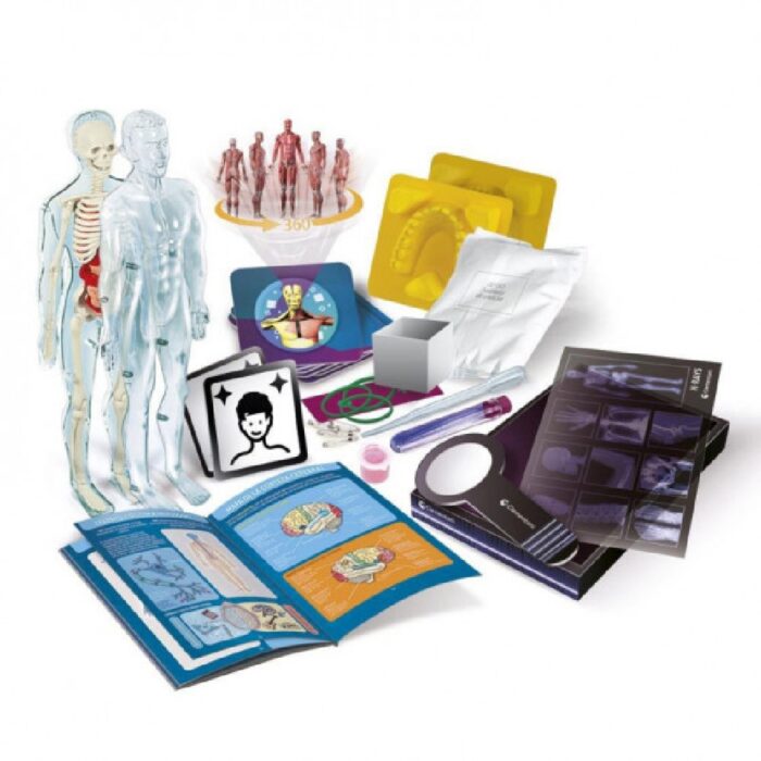 CIENCIA Y JUEGO SUPERANATOMIA - Imagen 4