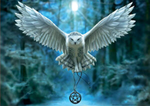 Puzzle 500 despierta tu magia