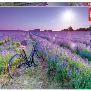 Puzzle 1000 bicicleta en campo de lavanda