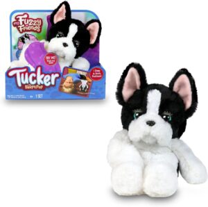 TUCKER EL PERRO DORMILÓN