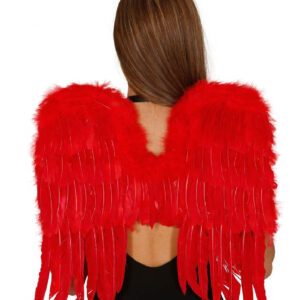 ALAS PLUMAS ROJAS 60x40 CMS.