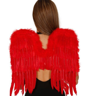 ALAS PLUMAS ROJAS 60x40 CMS.