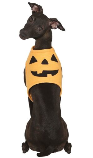 DISFRAZ CALABAZA PARA MASCOTA T.S
