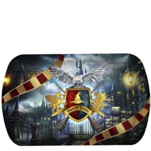 BANDEJA MAGO 39X24 CMS PLASTICO HARRY POTTER