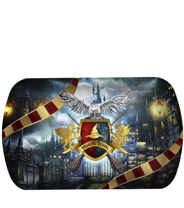 BANDEJA MAGO 39X24 CMS PLASTICO HARRY POTTER