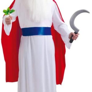DISFRAZ DRUIDA PANORAMIX MAGO  ADULTO T.L
