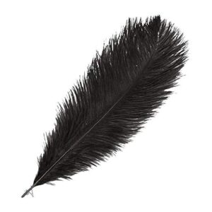 PLUMA AVESTRUZ NEGRO