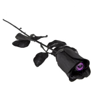 ROSA NEGRA OJO MORADO