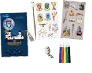 DIARIO SECRETO ELECTRÓNICO HARRY POTTER CON LUZ