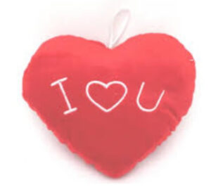 PELUCHE CORAZON  25 CM (SURTIDO)