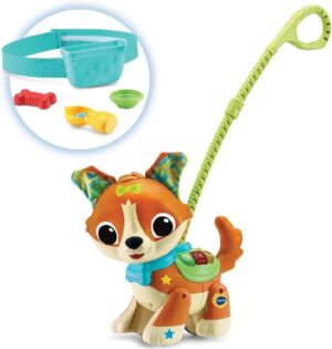 TITO APRENDE A ANDAR PERRITO INFANTIL PASEOS