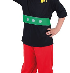 DISFRAZ  ASTERIX HEROE GALO 7-10 AÑOS