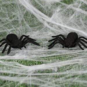 SET DE 2 ARAÑAS GIGANTES 8X11 CM