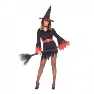 DISFRAZ BRUJA ML