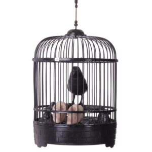 PAJARO DEL HORROR EN JAULA 34X19X19 CM