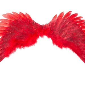 ALAS DE ANGEL ROJO 70 X40 CM