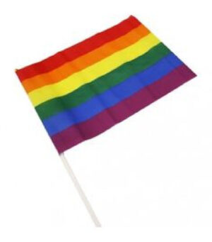 BANDERA ARCOIRIS ARGULLO LGTBI PEQ.