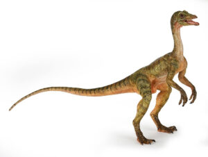 FIGURA COMPSOGNATHUS ( PAPO ) 55072