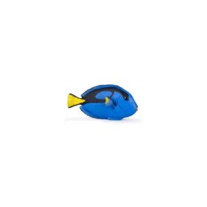 FIGURA PEZ CIRUJANO ( PEZ DORY ) 56024