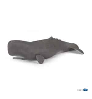 FIGURA CACHALOTE ( PAPO ) 56036